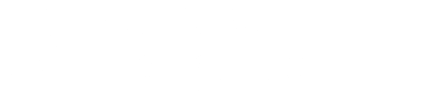 Business Intelligence